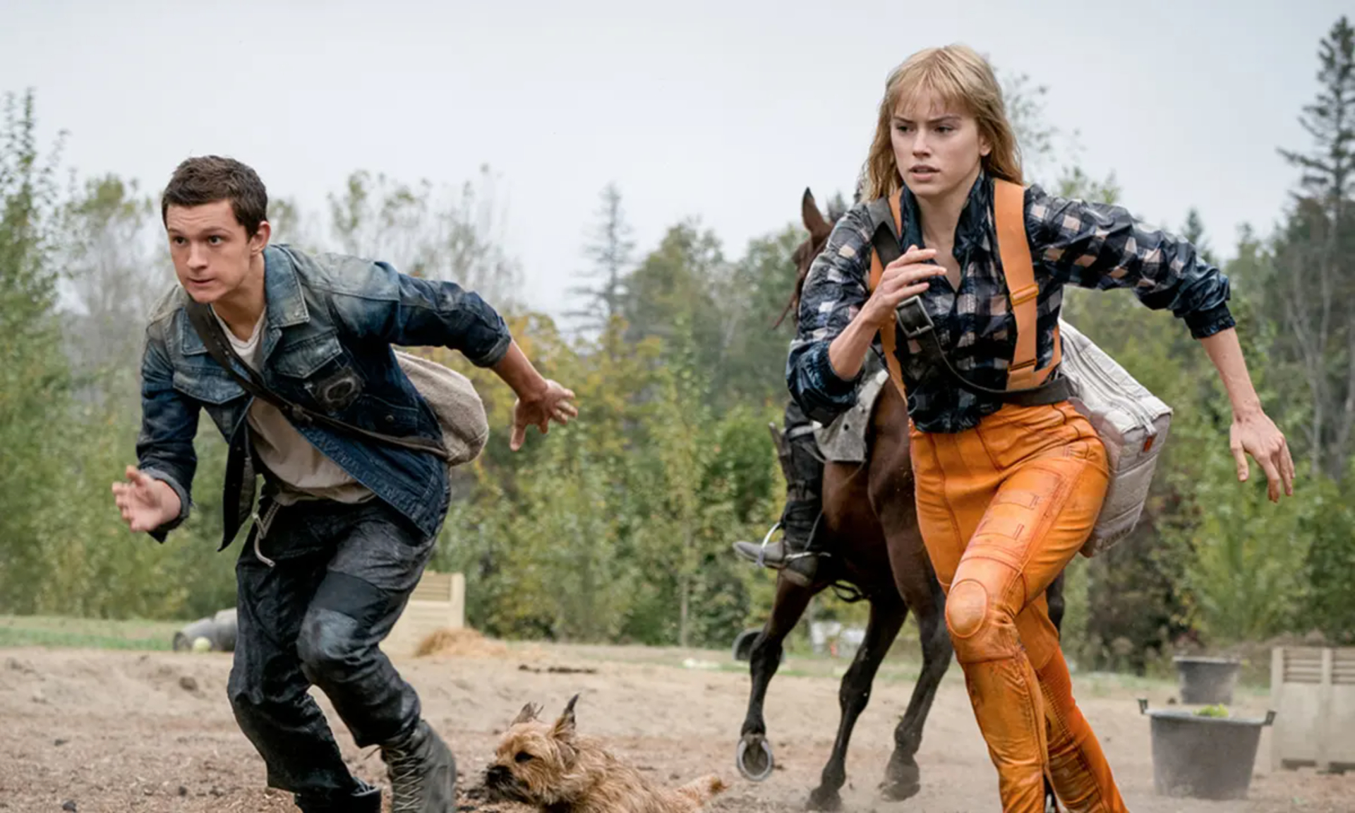 Chaos Walking: A dystopian sci-fi action film where women