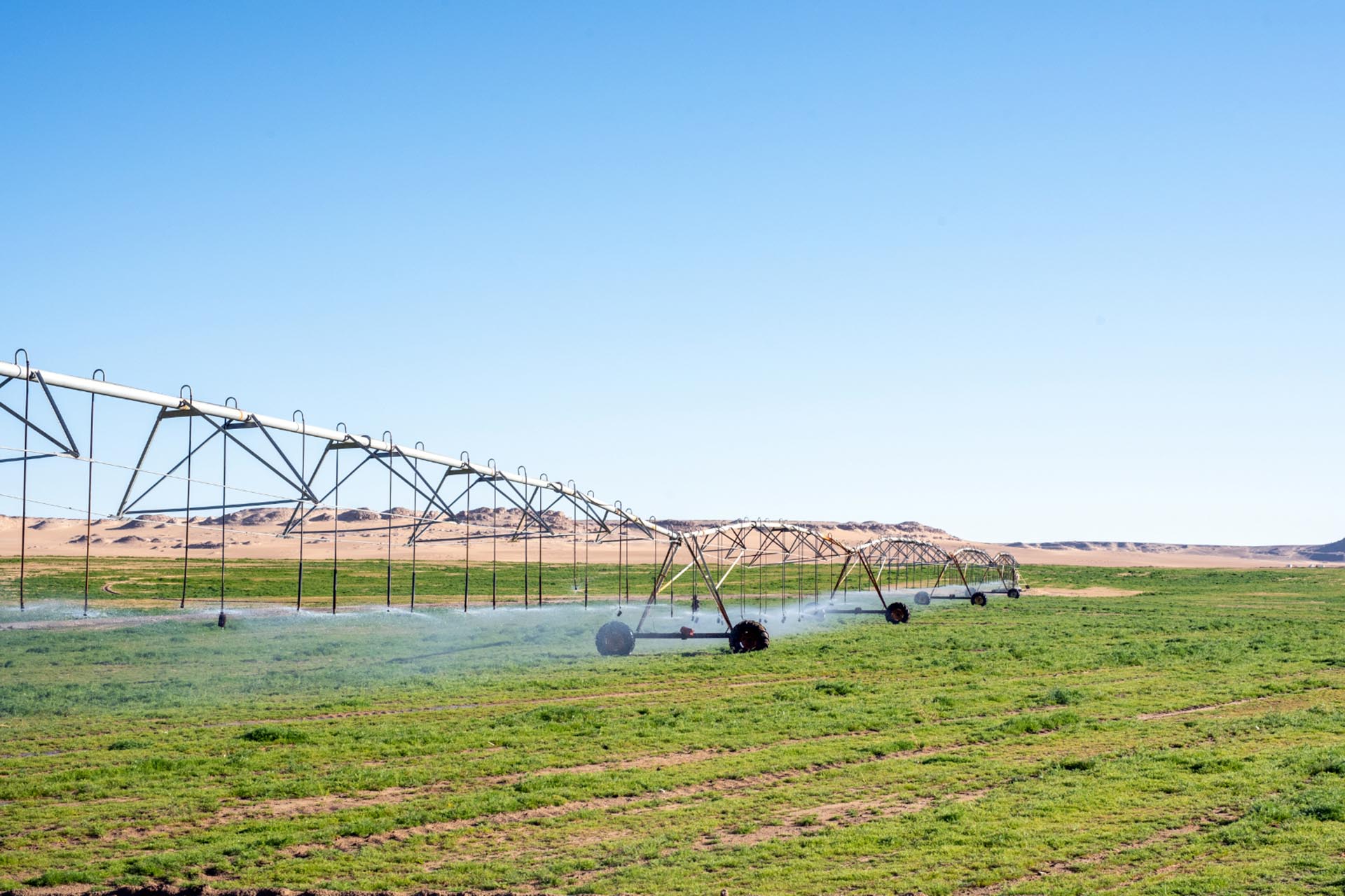 Egyptian agribusinesses have to adapt to a warmer, drier world