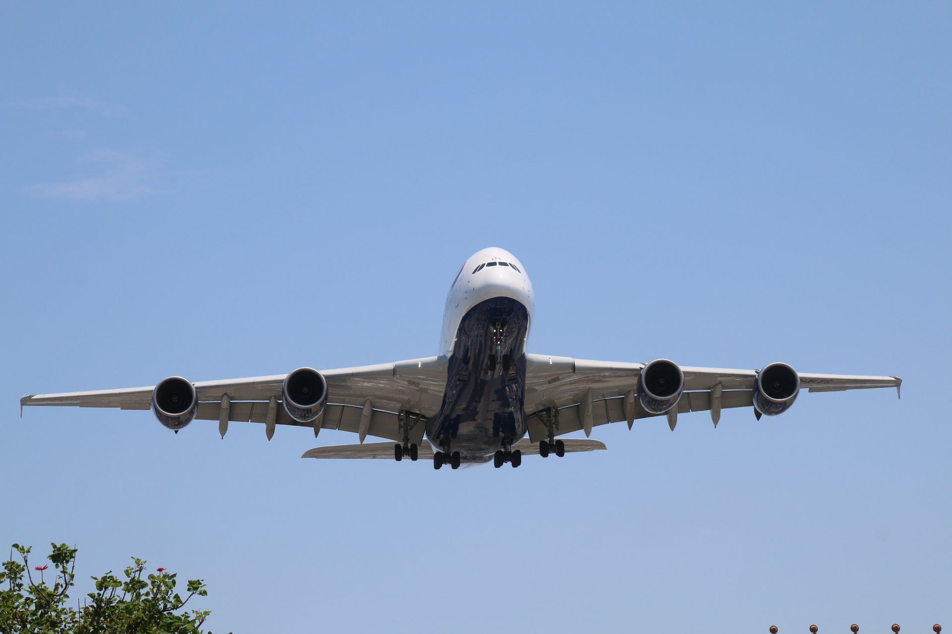 India expands evacuation routes as Transworld deploys cargo airlift