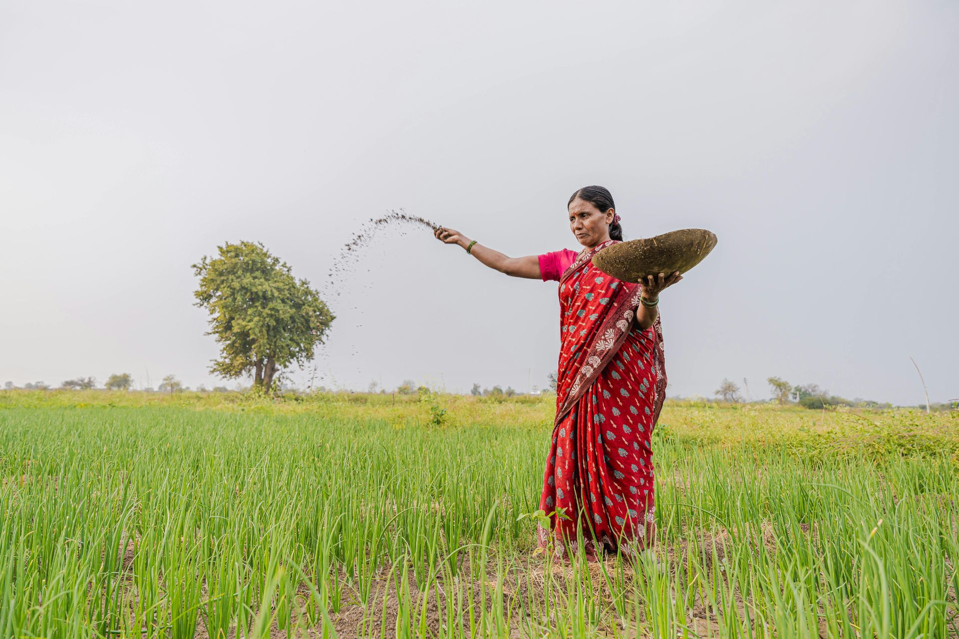 Fertilizer joins crude oil as India’s top geopolitical vulnerability